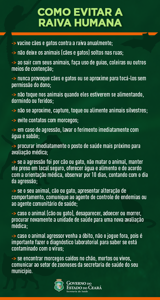 Não alimente os animais: Contato com pessoas pode ser fatal para