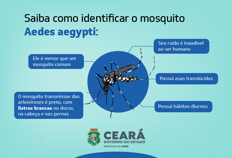 Colaboradores dos Pesquisadores que possuem o descritor dengue