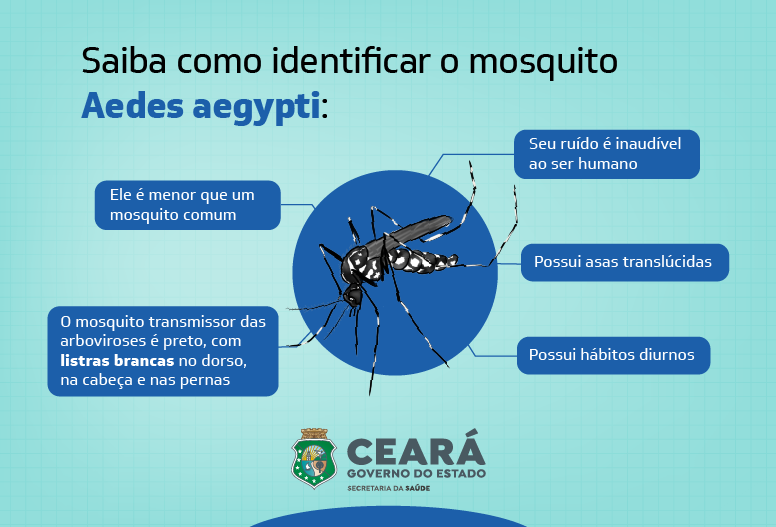 Aedes Aegypti e Albopictus: Infecção Amplificada [Estudo]