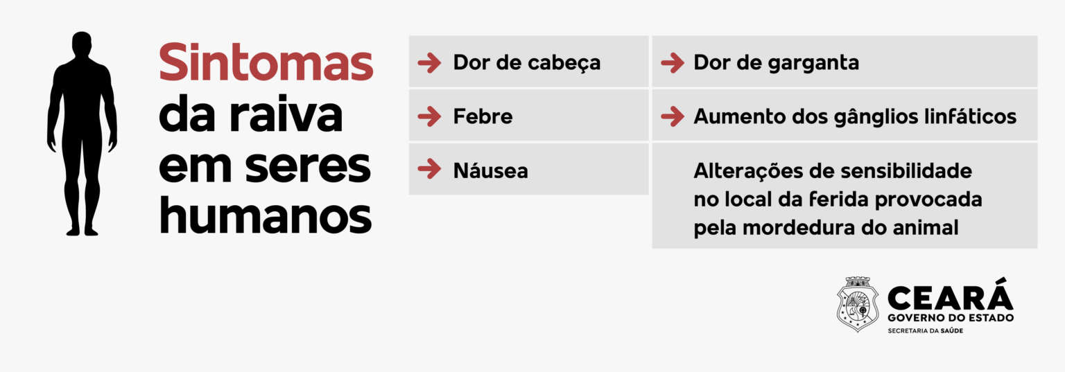 Raiva: saiba mais sobre a doença, quais os sintomas e como prevenir ...