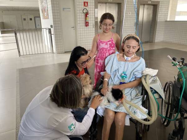 Ferramenta do Google leva animais para dentro de casa