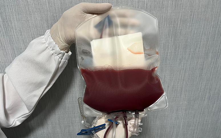 Foto: Reprodução/Secom Ceará